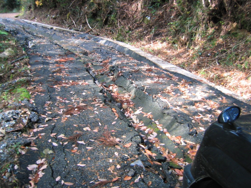 芸北放浪③　色梨林道、名無し伐採林道。_d0000680_0424046.jpg