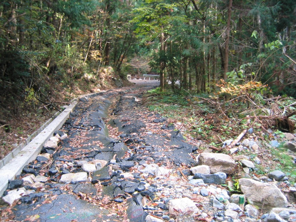 芸北放浪③　色梨林道、名無し伐採林道。_d0000680_0463020.jpg