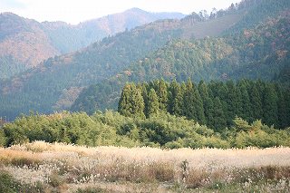 e0024081_10375715.jpg