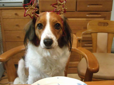 c0075585_13220100.jpg