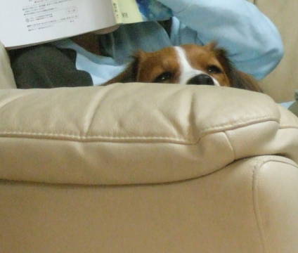 c0075585_1395160.jpg