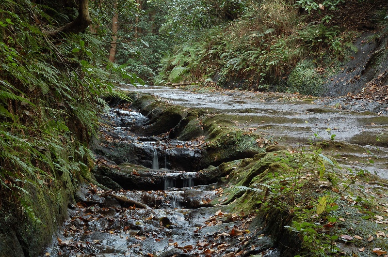 a0054691_23423025.jpg