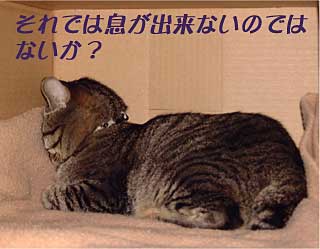 a0038698_2512536.jpg