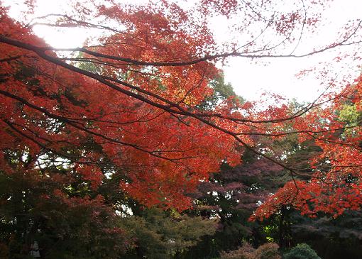 ~深まる秋~_b0049307_1973011.jpg