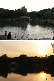 d0014408_140632.gif