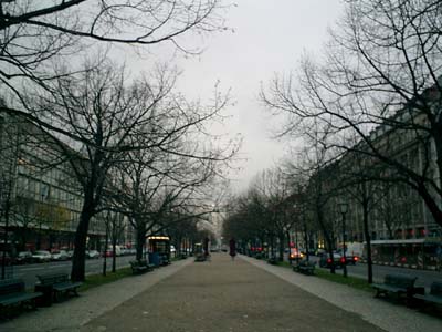 e0038811_8553442.jpg
