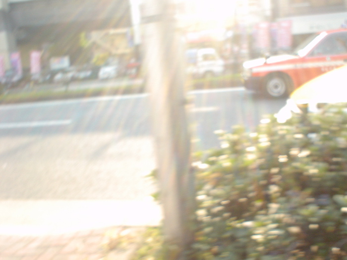 f0003829_13431264.jpg