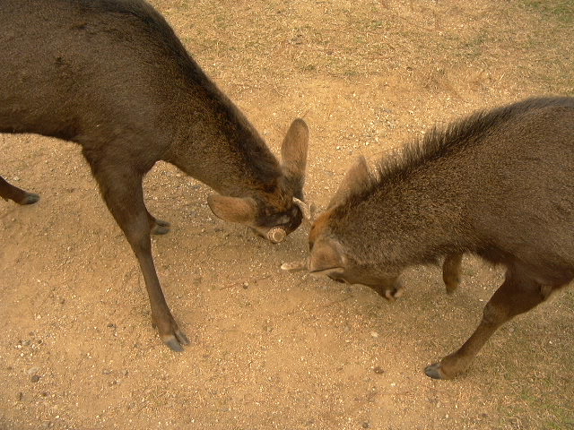 c0073633_02435.jpg