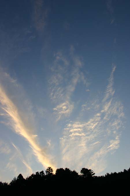 お散歩_e0074935_13592241.jpg