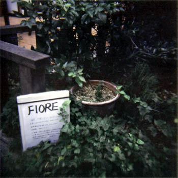 e0039640_8245577.jpg