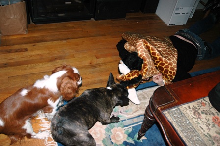 c0055857_849561.jpg