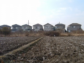 b0059860_1532868.jpg