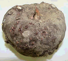 d0060962_21284080.gif