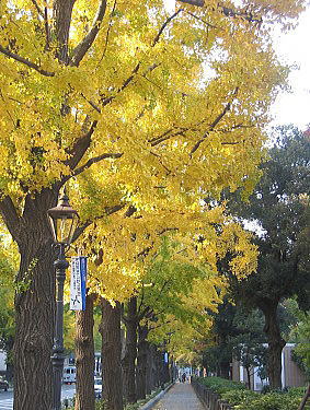 f0006171_22371029.jpg