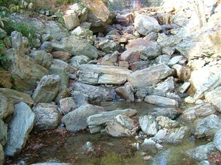 e0066772_9263266.jpg