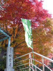 e0013408_22112321.jpg