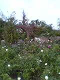 e0037611_15574018.jpg
