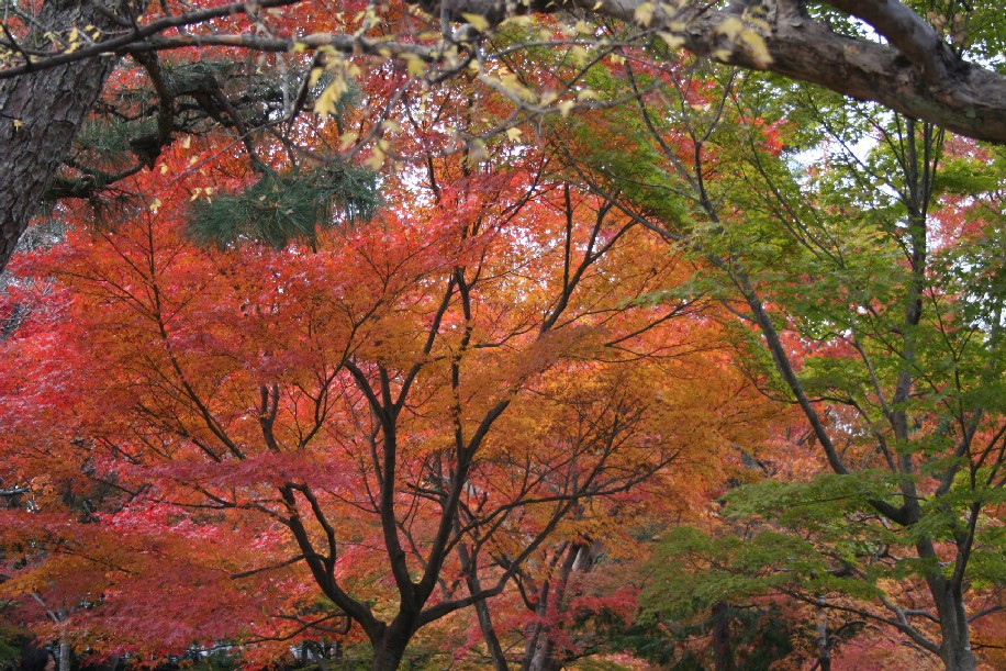 b0018112_972161.jpg