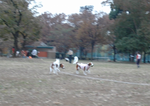 c0065512_2151156.jpg