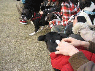 e0080117_23291323.gif