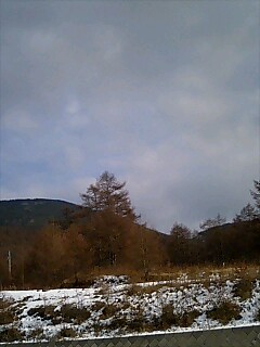 e0069433_1655397.jpg