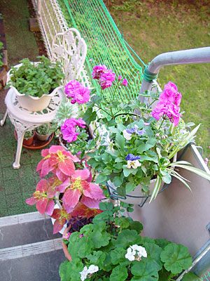 e0001735_16194157.jpg