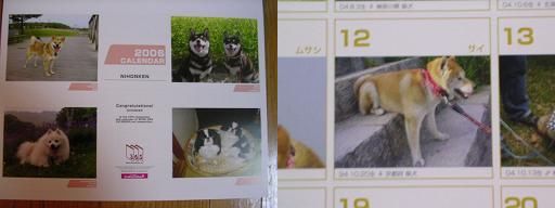 なぁるほど。。。_c0049950_22102028.jpg