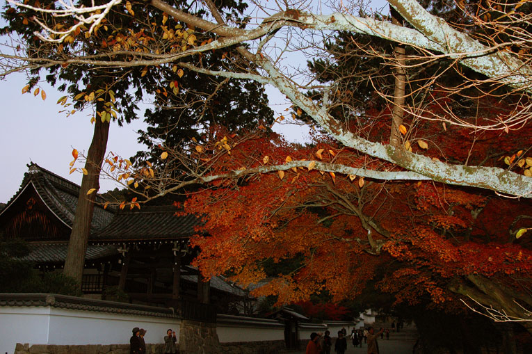 暮れかかり　心せわしき　紅葉狩り　_a0031363_161775.jpg