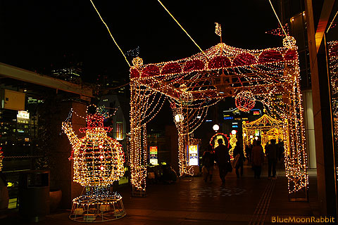 Christmas illumination #03_a0002073_2154342.jpg