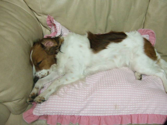 c0075585_0563685.jpg