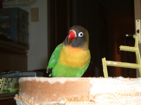 d0011090_1892894.jpg