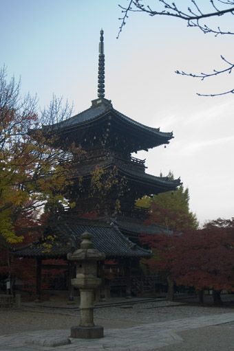 a0044202_613865.jpg