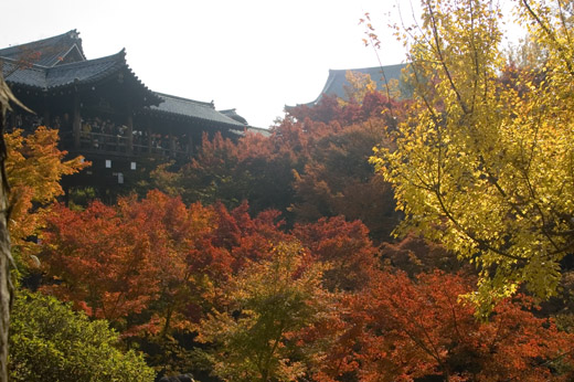 a0044202_682223.jpg