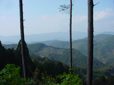 c0049902_19181551.jpg