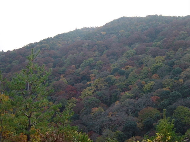 京都・嵐山_e0039408_18421737.jpg