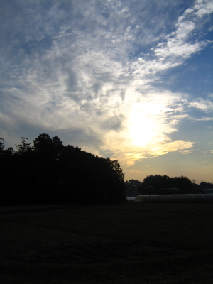 d0047811_1110119.jpg