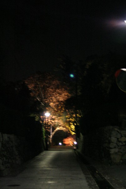 b0018112_20121647.jpg