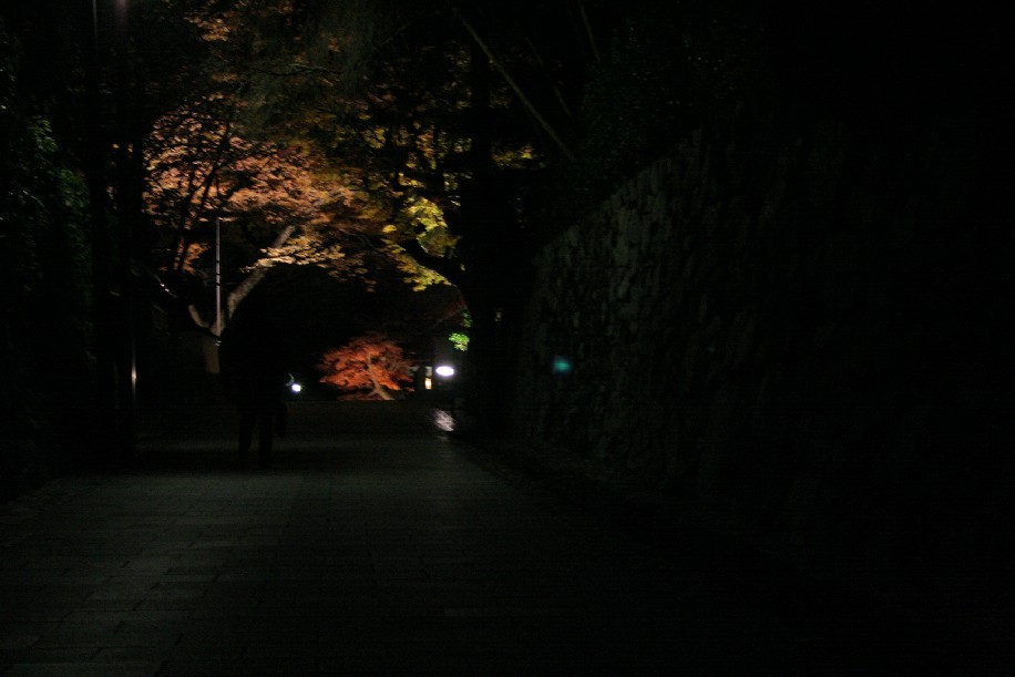 b0018112_20135627.jpg