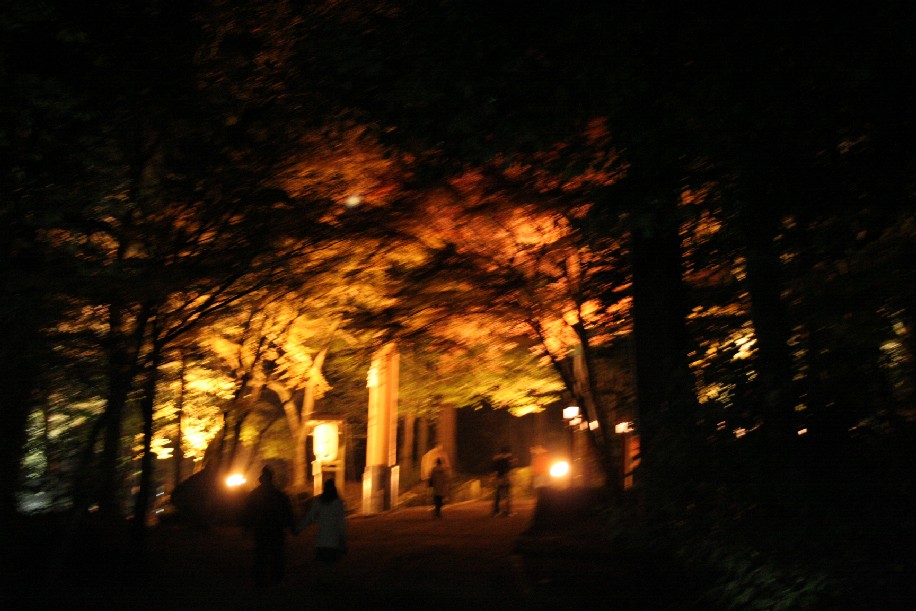 b0018112_2065795.jpg