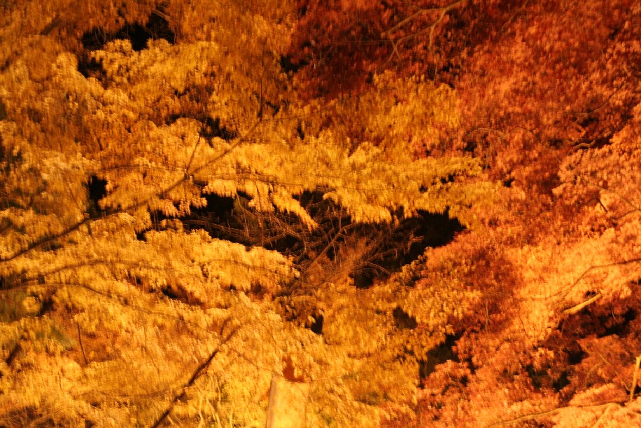 b0018112_208064.jpg