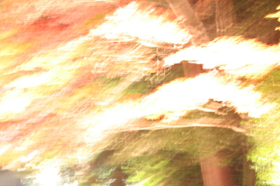 b0018112_209194.jpg