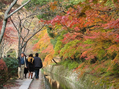 京都の紅葉　その１_c0037212_172048.jpg