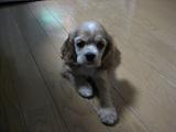 a0064213_234037.jpg