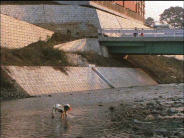 e0031613_06351.jpg
