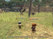 愛のクジャタ編(LAUGHTER MANIA2005レポート)プロローグ_d0039216_11115910.jpg