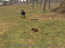 愛のクジャタ編(LAUGHTER MANIA2005レポート)プロローグ_d0039216_1119937.jpg