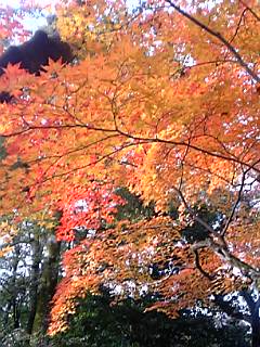 c0018823_12401399.jpg