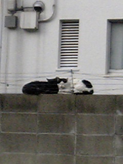 c0018823_12444761.jpg