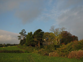 e0021328_08507.jpg