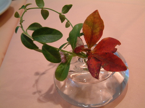 a0000029_1210516.jpg